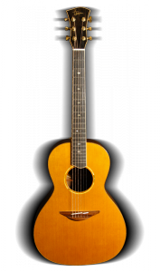 Chitarra mod. TM